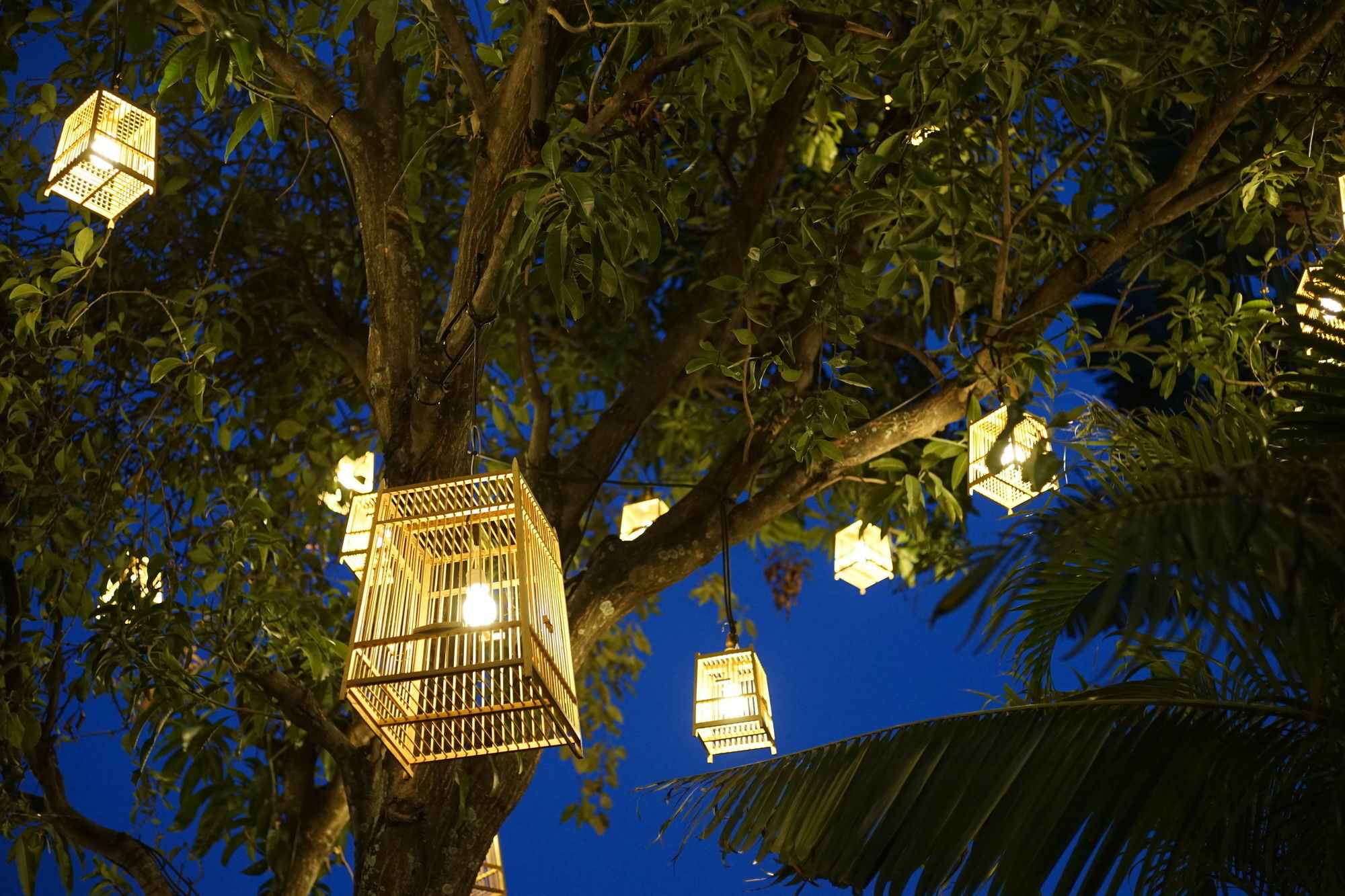 Private Pool Villa 88 Nimman Chiang Mai Dış mekan fotoğraf